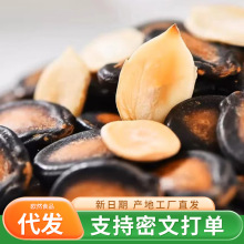 西瓜子话梅味大片代发批发500g 咸味瓜子年货追剧小零食西瓜子