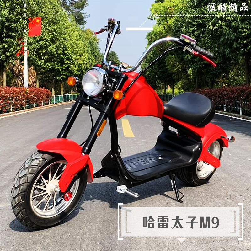 哈雷太子电动车双人可拆卸锂电宽胎电动车上牌助力车包邮新款男女