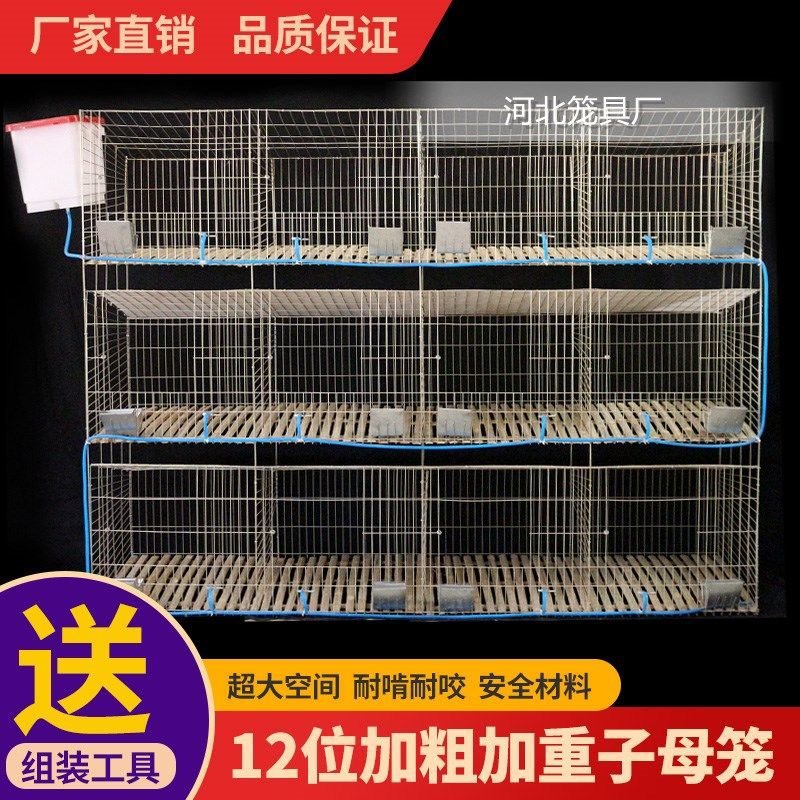 专业兔子笼家用兔笼养殖专用免清粪兔子笼子全套自动清理便宜批发