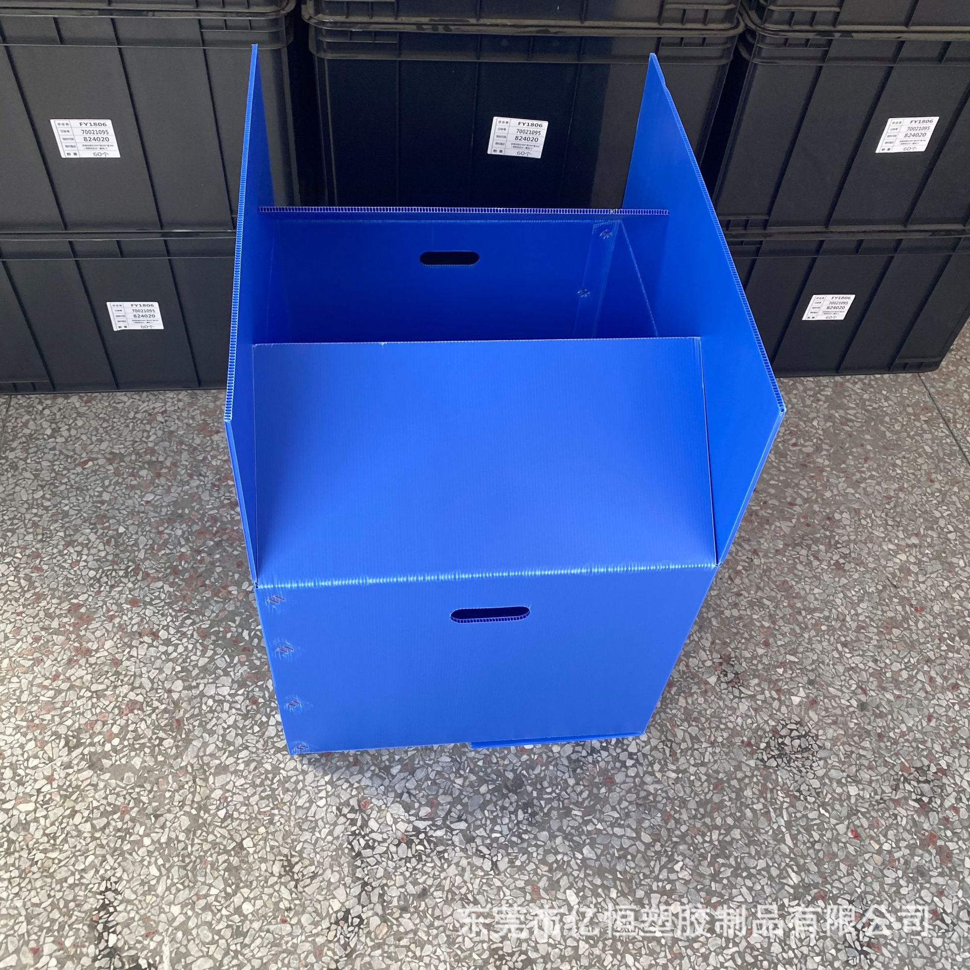 塑料中空板箱 纸箱式真空板周转箱 蓝色万通板纸箱 按尺寸定制