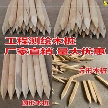 测量放线木桩测绘放样定点木桩立柱工程用地桩果树拉枝工地竹片桩