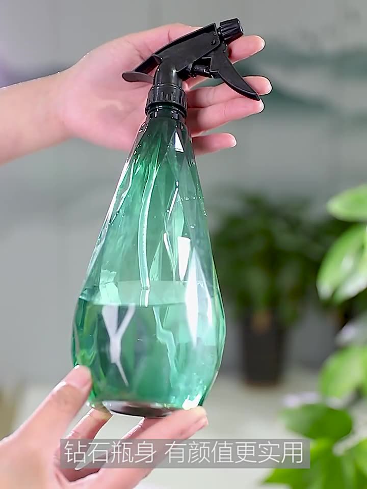浇花消毒喷壶家用喷水壶喷雾壶小型喷雾瓶园艺工具套装喷雾器神器