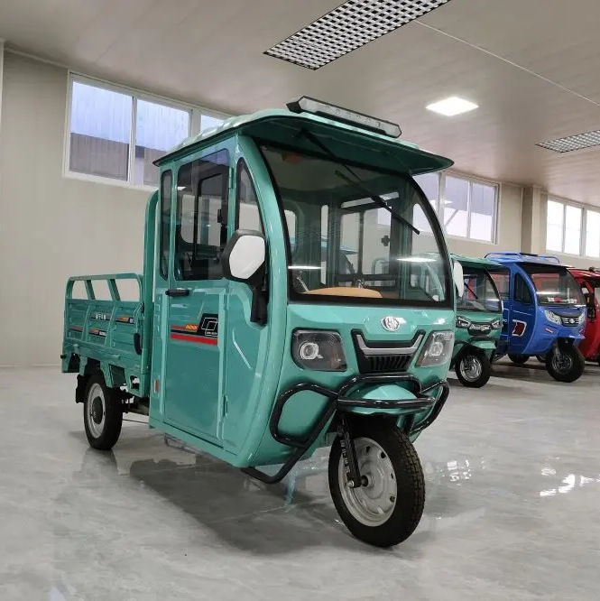 三轮车48v电动货车成人代步载货王拉货快递家用载重三轮车-阿里巴巴