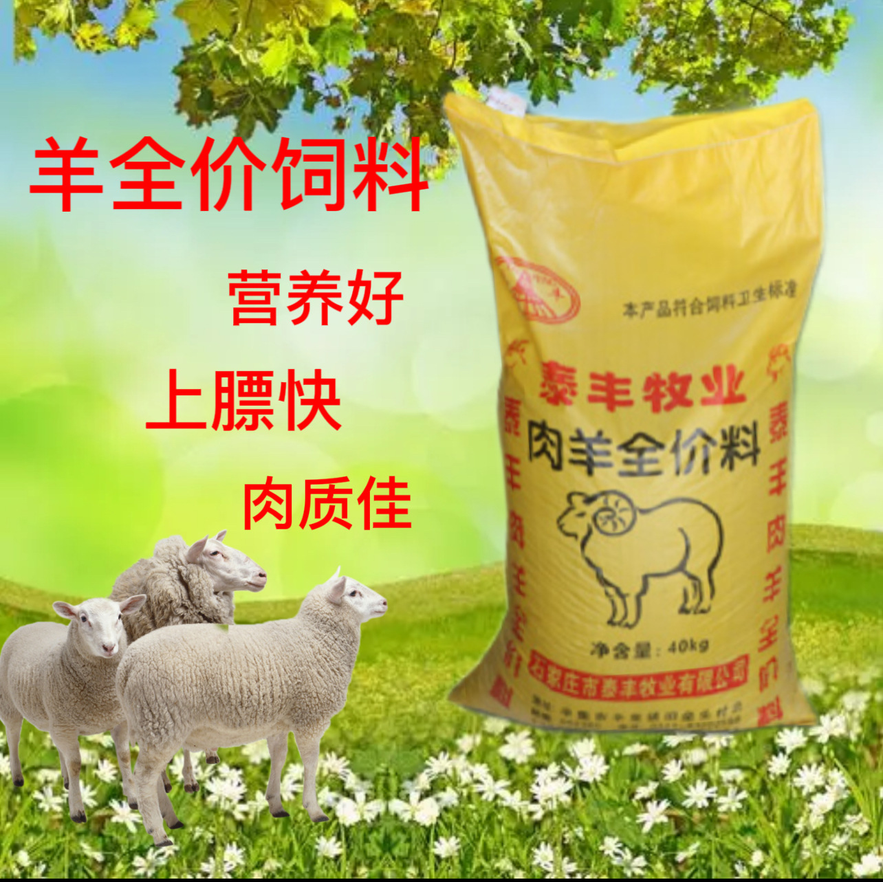 羊全价饲料羊精饲料羊颗粒饲料山羊绵羊育肥羊颗粒养殖场吨批