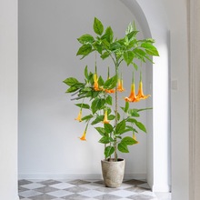 多f曼陀罗花仿真绿植大型北欧室内客厅落地式盆栽摆件新款仿真花