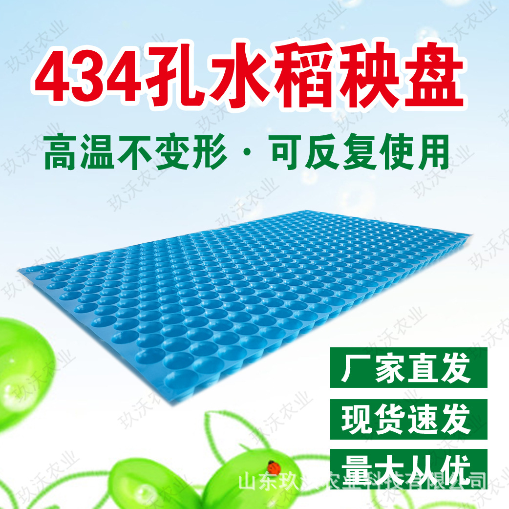 434孔抛育秧盘水稻人工抛秧晚稻育苗盘蓝色透明434孔水稻育苗盘抛