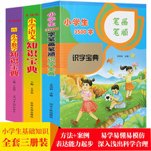 小学生3500字笔画笔顺语文数学识字宝典1-6年级通用教辅书籍