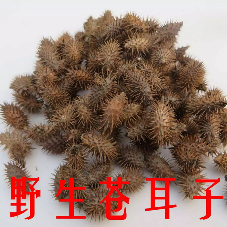 半斤一斤多规格可选秦岭苍耳成熟苍耳子苍刺头毛苍子胡苍子
