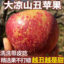 【冰糖心苹果】大凉山丑苹果当季新鲜红富士苹果水果整箱包邮