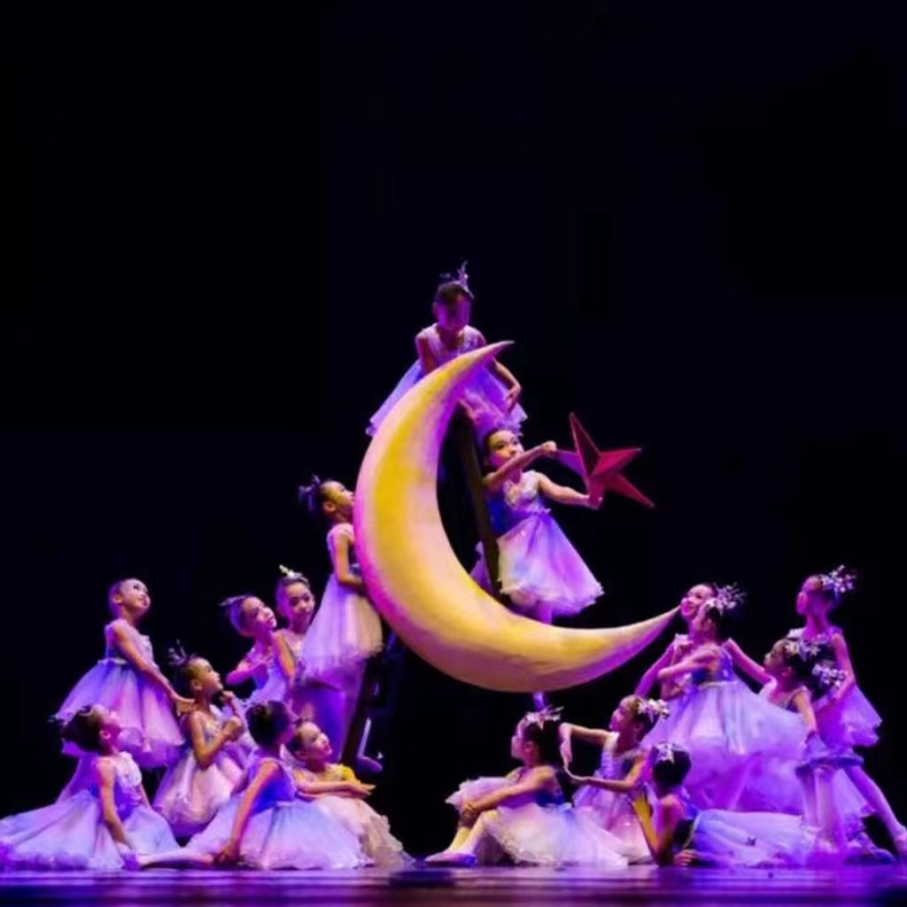 新款儿童蓬蓬裙演出服可爱公主亮纱裙舞蹈服幼儿舞蹈小星星表演服