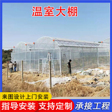 温室大棚建设价格 简易农业温室大棚蔬菜种植 来图设计温室大棚