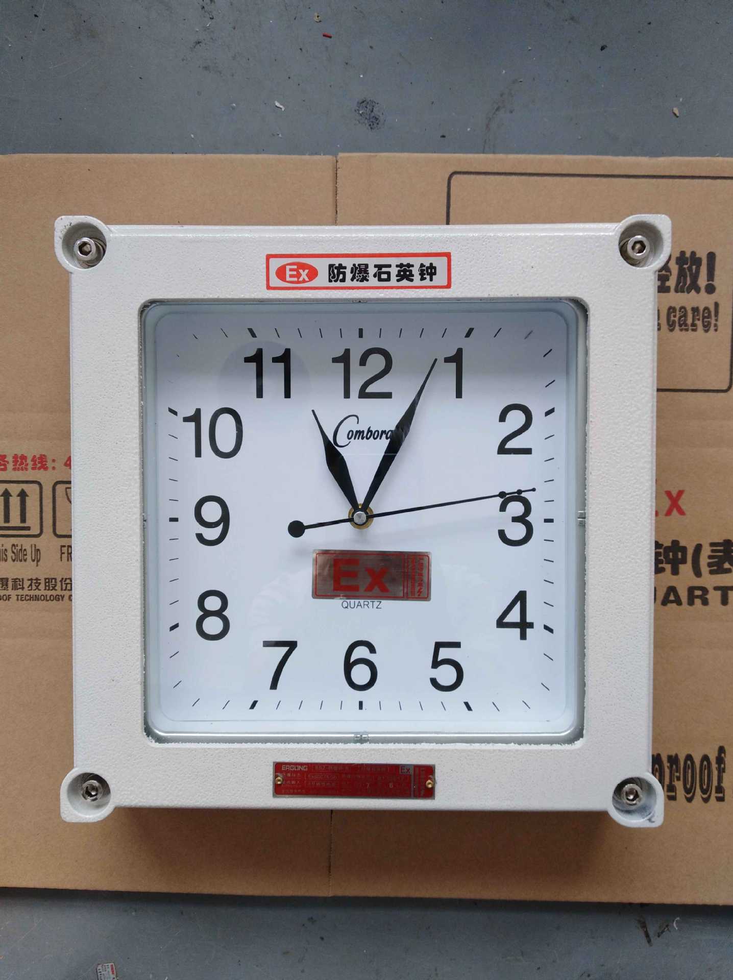 bsz2010石英钟 壁挂式石英钟 适用矿山 石油化工