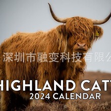 跨境爆款highland cow calendar 2024高地奶牛日历2024月历墙日历