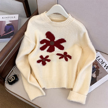 实拍慵懒风花朵圆领毛衣女2023冬季新款设计感韩版宽松羊毛针织衫