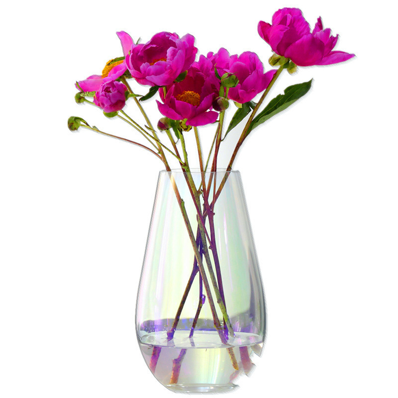 European-Style Creative Colored Glass Vase Transparent Flower Arrangement Dried Flower Ware Water Planting Bottle Living Room Decorations Decoration Wholesale