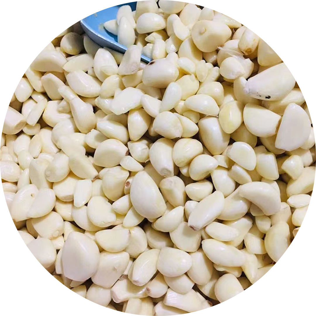 新季剥好大蒜瓣保鲜蒜米残次率5以内去皮蒜子原料剥皮鲜蒜大蒜子