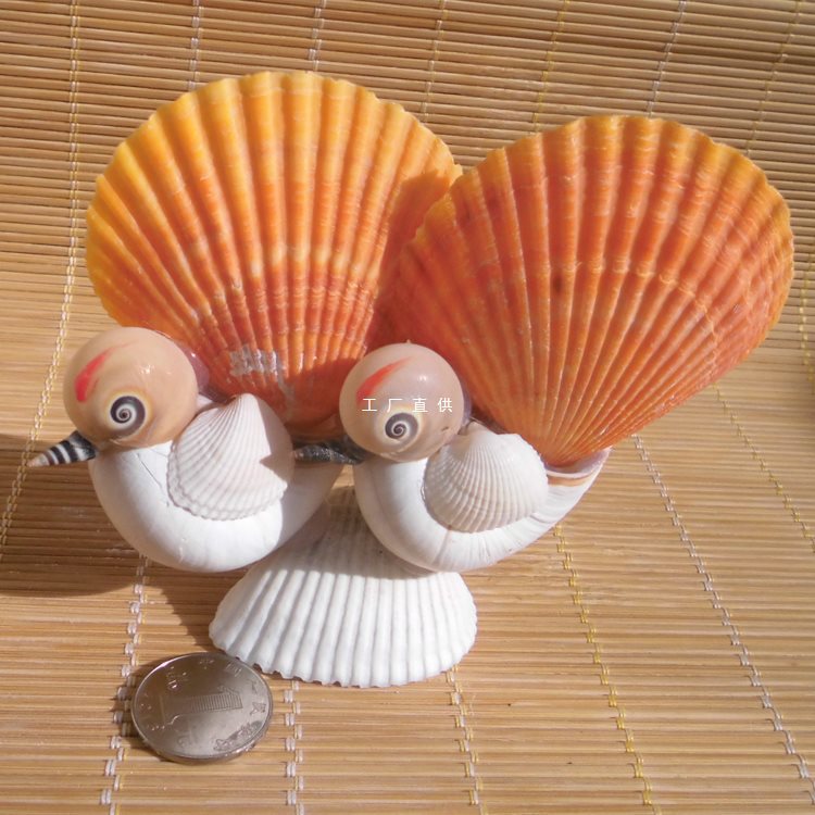 天然海螺贝壳工艺品 孔雀儿童玩具送同学送好友创意礼物 家居摆件