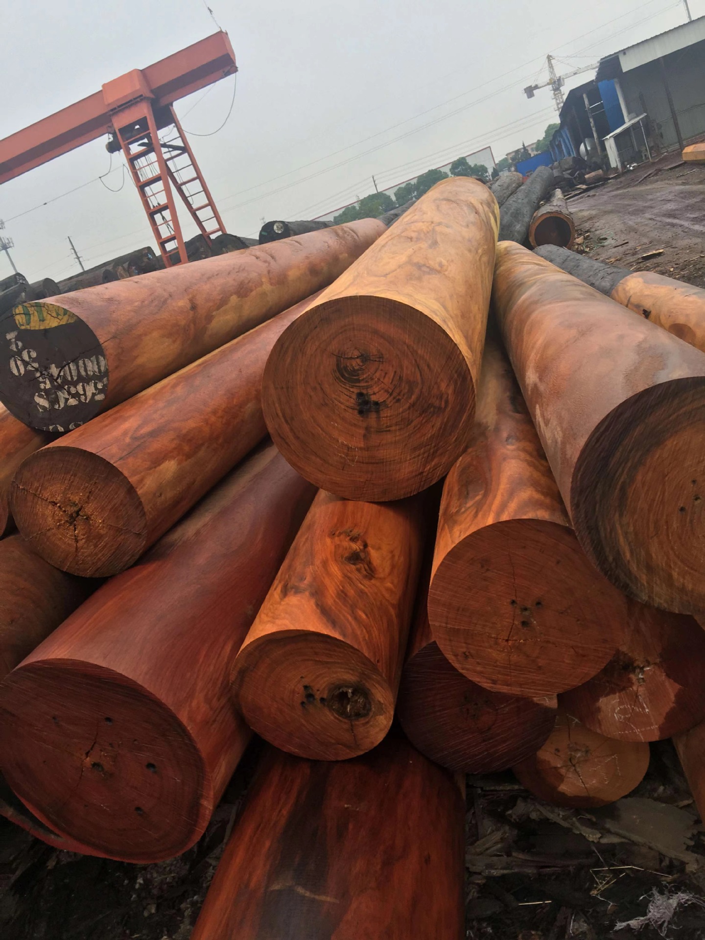 奥坎原木 奥坎方料 适用于园林建筑家具材地板一手货源 诚信经营