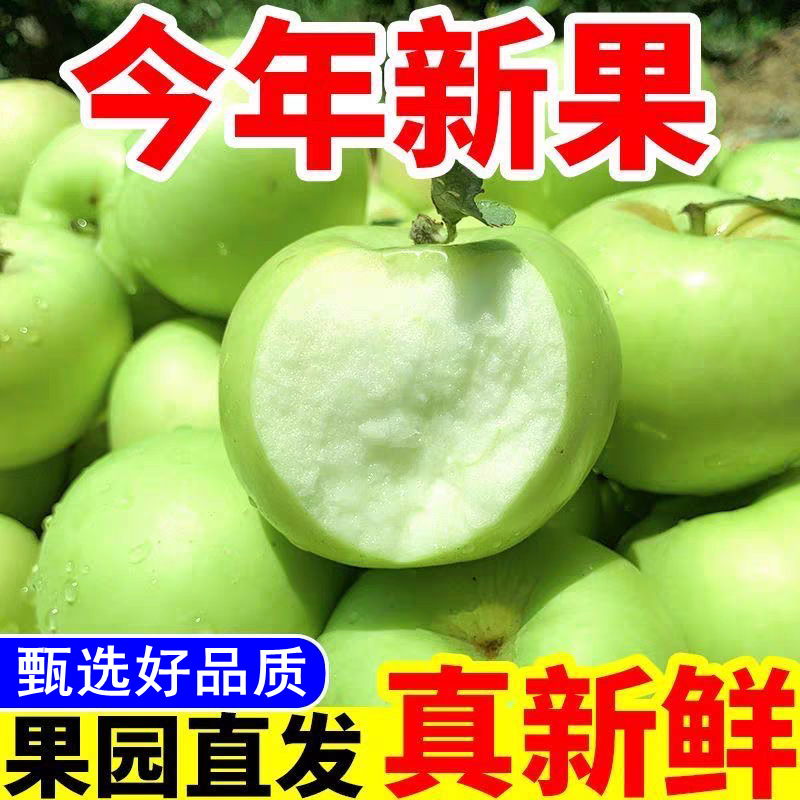青苹果水果新鲜脆甜酸苹果一整箱2-9斤应季现摘孕妇小萍果批发