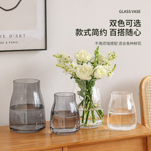 北欧风创意透明玻璃花瓶客厅插花水养花器轻奢餐桌家居摆件装饰品