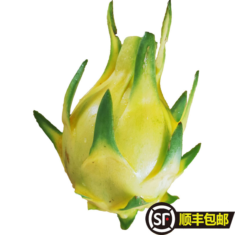 5斤顺丰包邮黄皮火龙果黄色果黄皮白心火龙果黄金果非麒麟燕窝果