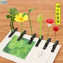 5Pcs Funny Plant Hairpin Flower Butterfly Sprout Hair Clips