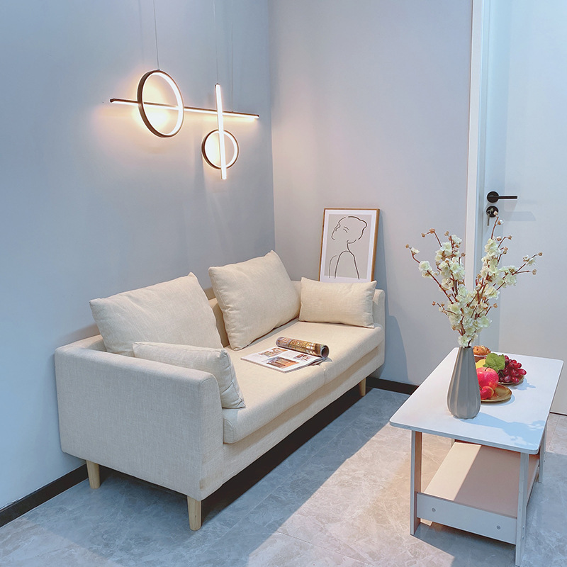 网红双人卧室小沙发小户型现代简约简易出租房公寓服装店北欧沙发