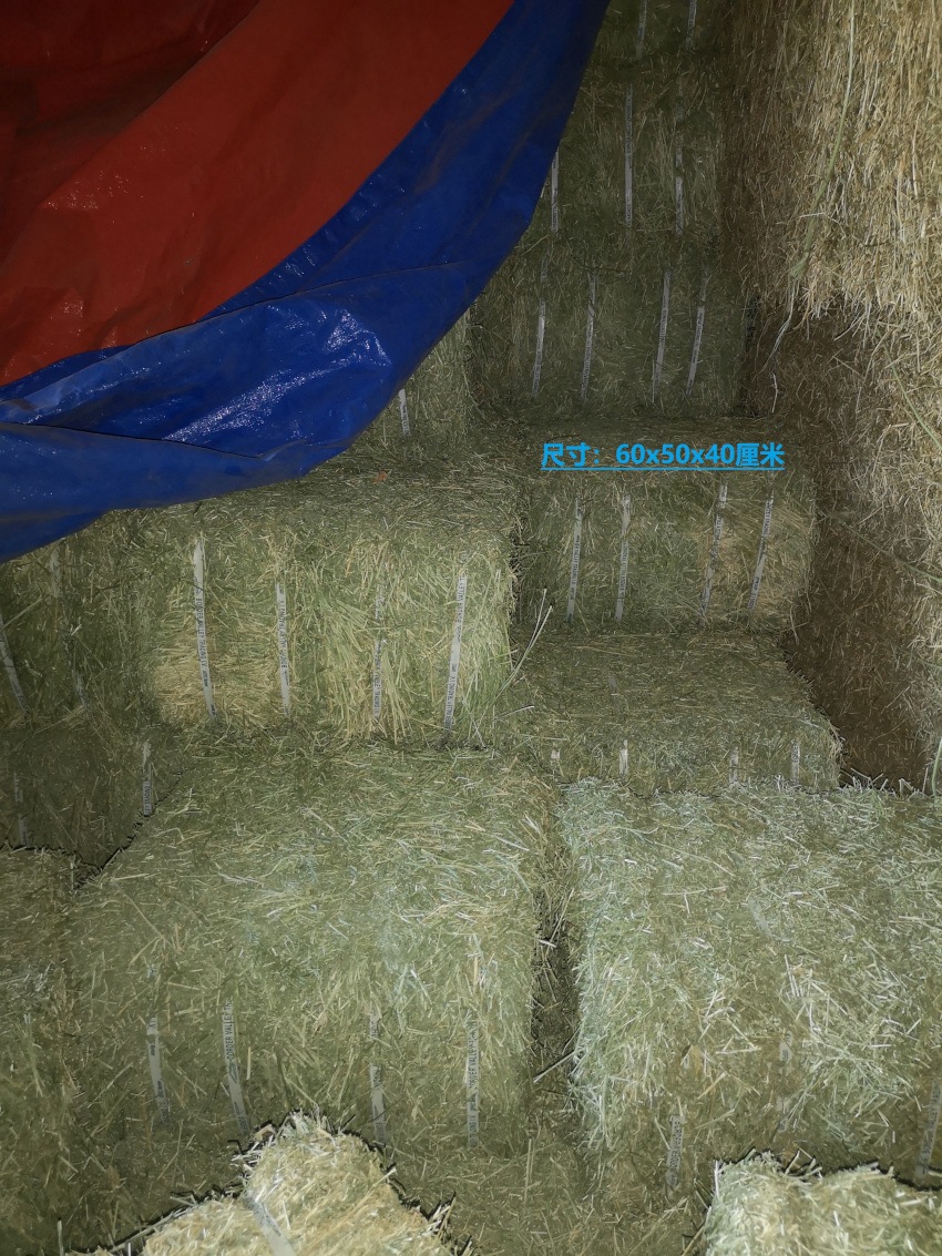 100斤 国产苜蓿草干草优质牛羊喂马草料奶牛奶山羊草羊驼人气饲料