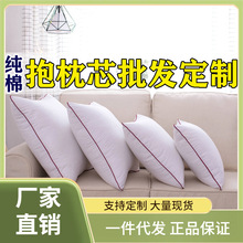 3RLM纯棉沙发抱枕芯靠枕芯十字绣靠垫芯子40 45 50 55 60 65 70方