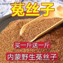 内蒙古野生菟丝子材新货菟丝子内蒙古菟丝子泡茶泡酒野生