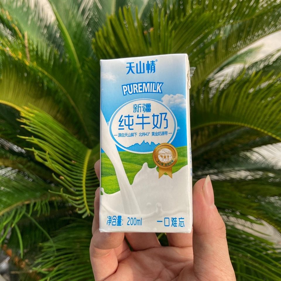 新日期新疆装纯牛奶鲜牛奶生牛乳高温全脂灭菌乳营养香醇