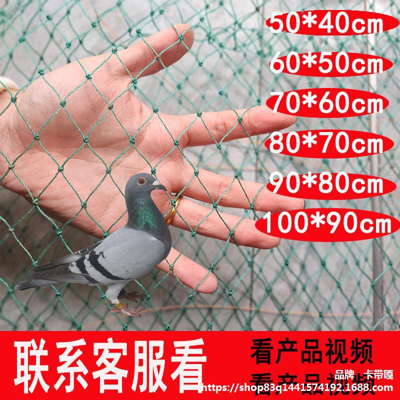 信鸽自动野外鸽不出进围网笼鸡笼麻雀鸽笼收笼连续网只捕家用鹌鹑