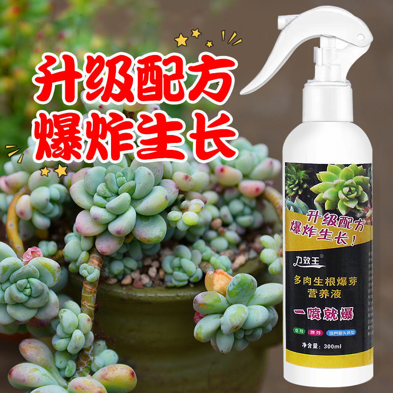 多肉优芽素多肉生根爆芽王多肉营养液分裂生根剂复合肥盆栽叶面肥
