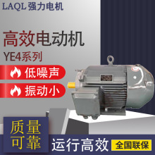 六安强力电机厂家直销YE4系列三相异步电动机高效节能 运行可靠