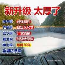 池塘防渗膜鱼塘防渗膜土工膜防水布水池防漏黑色塑料布地膜防渗膜