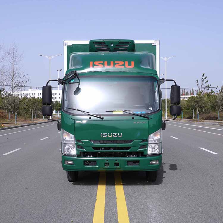 邮政版4米2五十铃kv600p冷冻式货车 蓝牌c照开3.