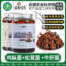 油鸡枞菌460g云南特产即食香辣松茸菌牛肝菌下饭菜拌面香菇酱批发