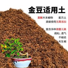 金豆适用土盆栽种植金豆适用土酸性土壤沙性土花泥种植通用土