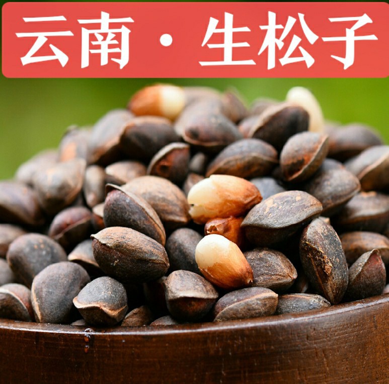 云南生松子不开口新鲜原味手剥散装大颗粒非巴西松子坚果零食