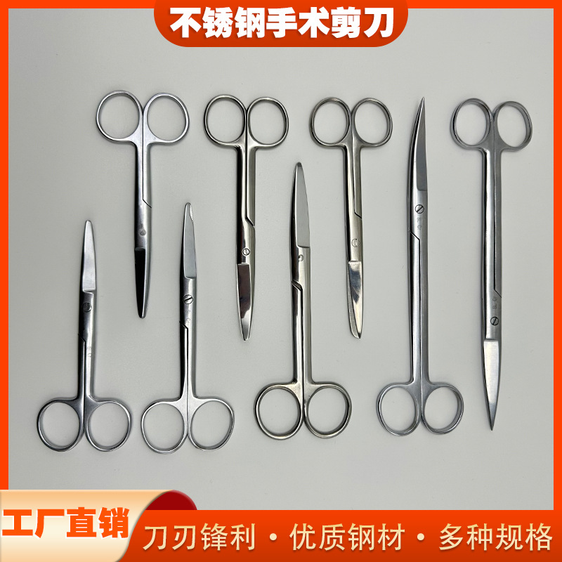 stainless steel surgical scissors teaching beauty scissors straight round pet fishing gear gauze stitch scissors laboratory dissecting scissors