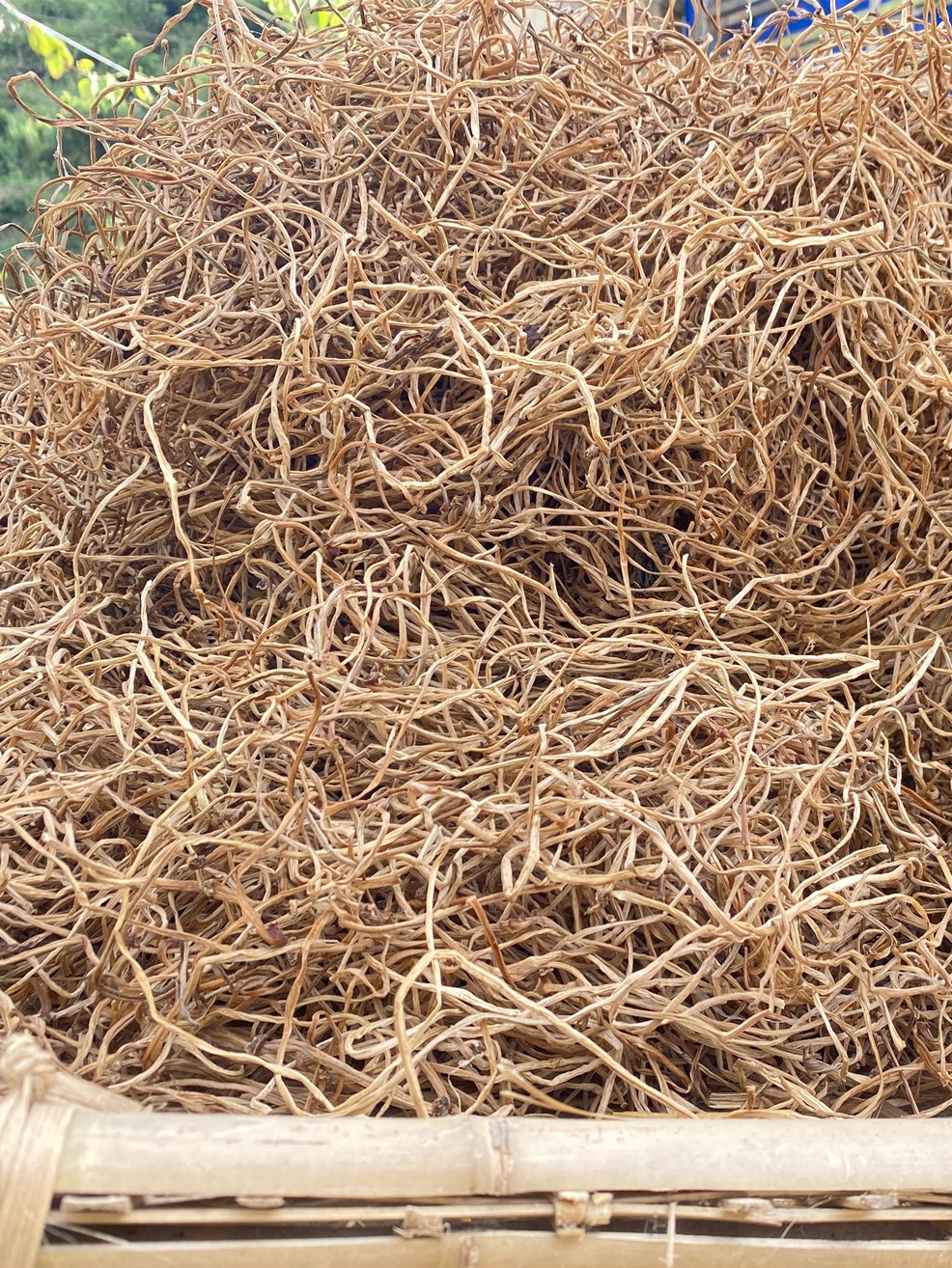 东北地瓜梗干红薯藤杆新货地瓜秧农产品产干菜500g红薯梗山芋梗