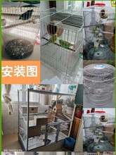 镀锌铁丝网网加密自制鸟笼材料专用养殖鸽棚围网网片围栏地网铁网