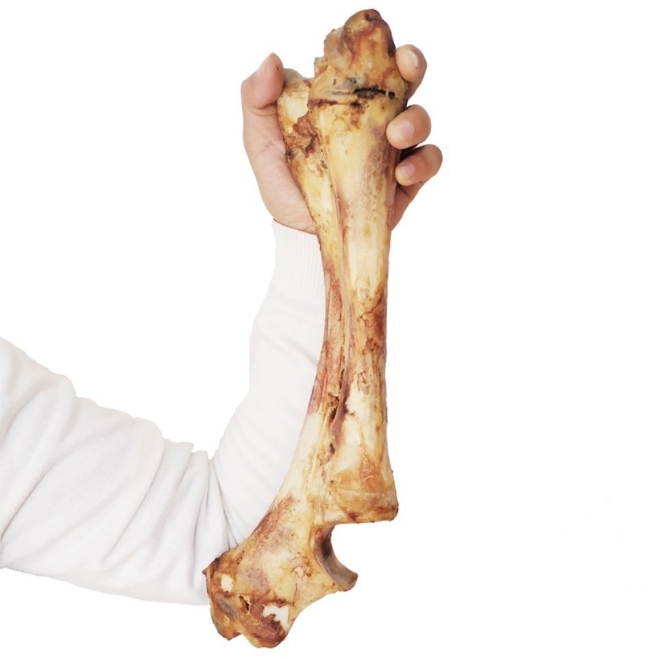 狗狗零食 牛骨棒大号 磨牙啃咬洁齿骨金毛萨摩大狗狗骨头宠物零食