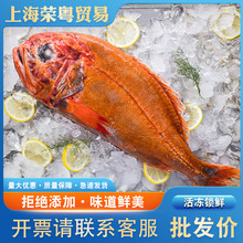 新西兰长寿鱼海鱼批发整箱酒店商用海鲜胸棘鲷鲜冻大红眼橙鲷鱼