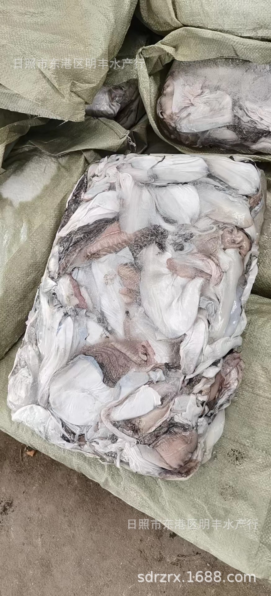 厂家批发供应市场流通工厂加工墨鱼皮