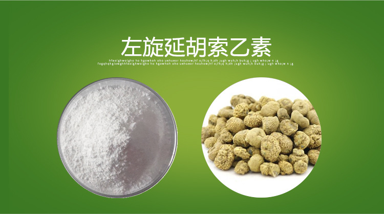 左旋延胡索乙素 罗通定 98% 延胡素,千金藤提取物 五色花供应