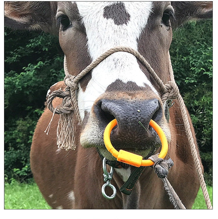 牛鼻环牛鼻圈穿牛鼻子的穿孔工具拴牛转扣环用养殖设