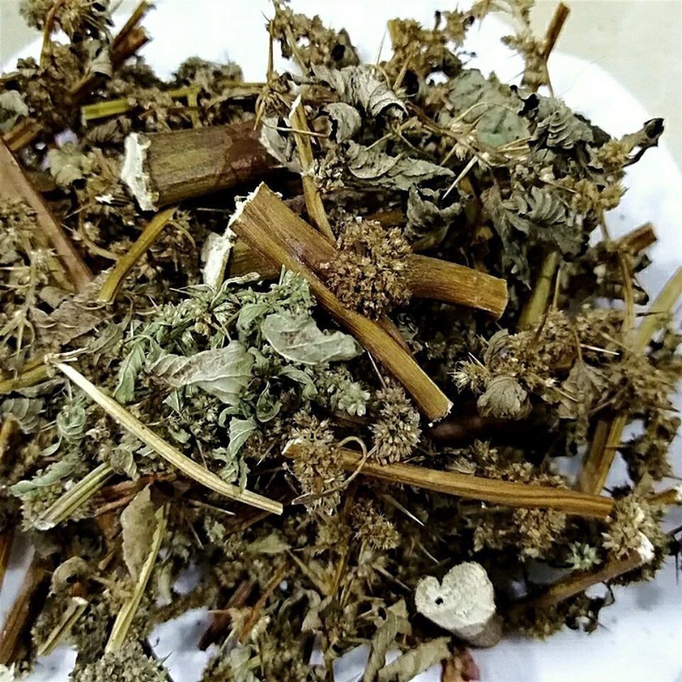 刺苋菜批发干刺苋菜中药材野刺苋 土觅菜 穂刺苋茎叶带刺中草药