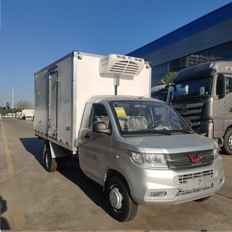 3吨纯电动冷藏车 小型新能源蔬菜 水果 疫苗保温保鲜车可加工