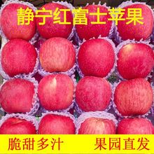 【产地直发】甘肃静宁红富士苹果冰糖心脆甜苹果新鲜现摘新果整箱